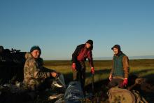 Эксперт ТГУ: таяние вечной мерзлоты может запустить «эффект домино»