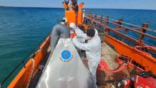 Учёные ТГУ и водолазы Морспасслужбы испытали устройство для сбора мазута